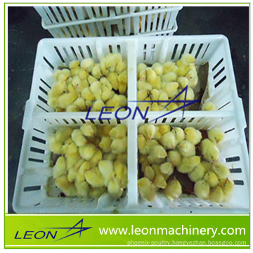 Leon convenience push-pull opening plastic poultry transfer cage